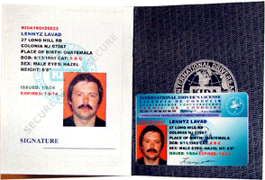 Sample of International translations of drivers license. Passport size Booklet with an 8 languages translation of your native Driver License and Credit Card size security hologram covered plastic card.