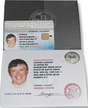 international driving licence