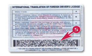 us states that allow driving with international drivers license