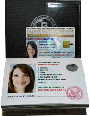 international drivers license samples